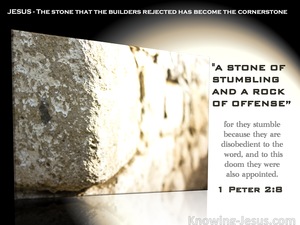 1 Peter 2:8